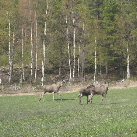Alojamento de Turismo Rural Gustavstugu